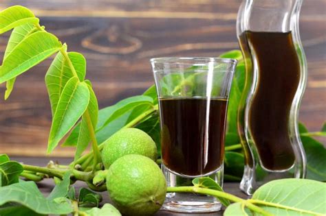 Ricetta il liquore nocino è un liquore a base di noci molto diffuso, dalle note proprietà digestive, che viene preparato con noci fresche e tenere, ancora avvolte nel mallo verde. accademia delle erbe spontanee | NOCINO DI SAN GIOVANNI