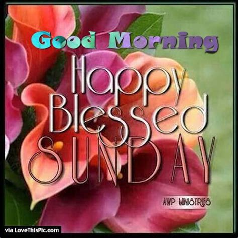 Good Morning Happy Blessed Sunday Pictures Photos And Images For Facebook Tumblr Pinterest