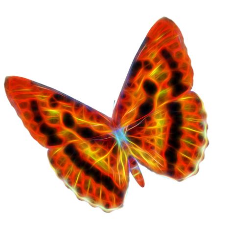 Fractal Wire Butterfly Orange Blend Free Stock Photo Public Domain
