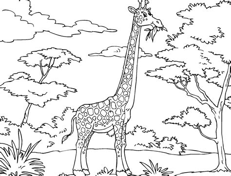 Serengeti actually means endless plains. African Animals Coloring Page - ColoringBay