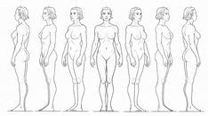 Turnaround Body Reference Ideas Anatomy Drawing Figure Drawing