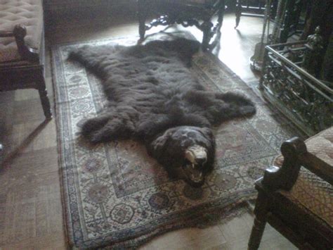 bear skin rug on display in grand entrance area in front of fireplace ours decoration