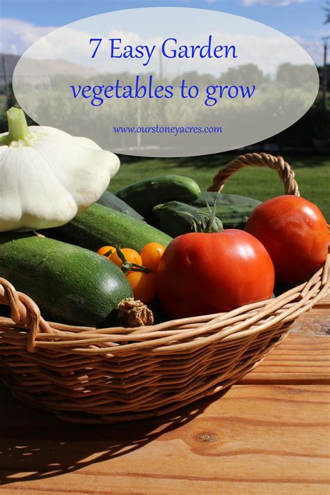 7 Easy Vegetables To Grow Stoney Acres