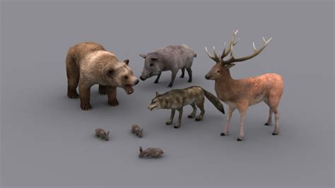 3d Model Forest Animals Pack Game Ready Animated Models Vr Ar Low