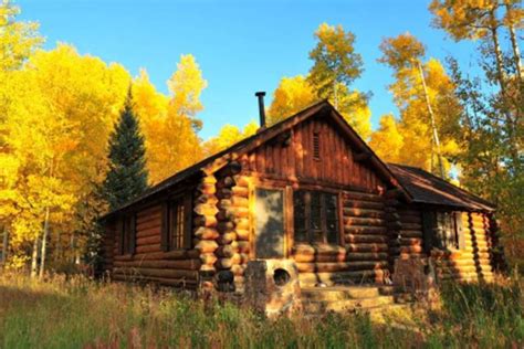 An Old Log Cabin In The Woods Surrounded By Fall Colored Trees And Tall Green Grass