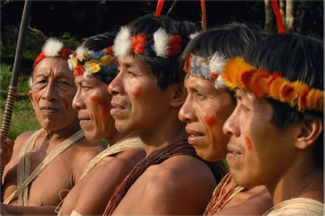 Vestimentas Pueblos Indigenas Del Ecuador Para Colorear Brainlylat
