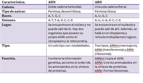 Informaci N De Adn Y Arn Cuadros Comparativos Y Cuadros Sin Pticos Informaci N