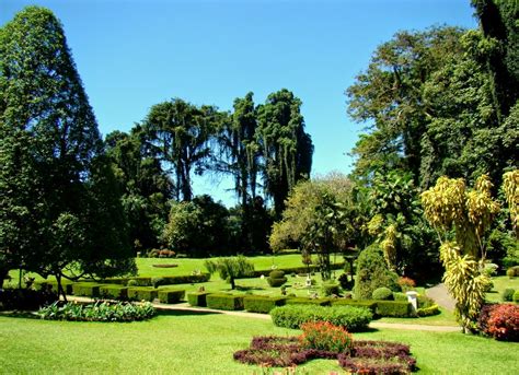 Select Sri Lanka Royal Botanical Gardens Peradeniya