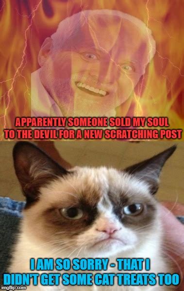 15 Cat Memes Devil Factory Memes