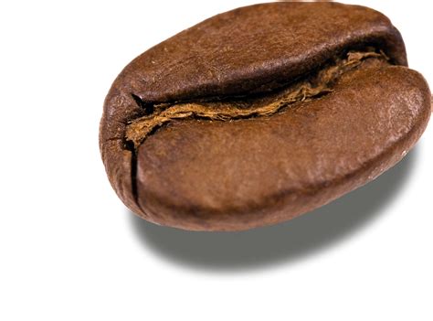 Coffee Bean Icon Png Transparent Background Free Down Vrogue Co
