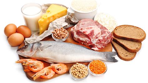 Alimentos Con Proteinas Y Su Importancia Para Los Musculos Y La Salud