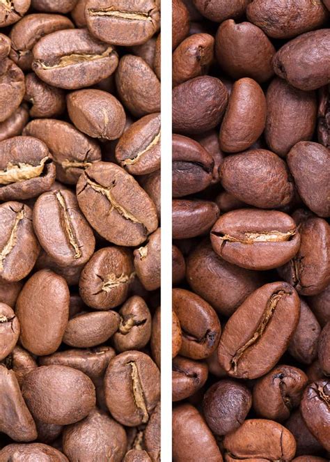 79 Types Of Coffee Definitive Guide Drinks Beans Names Roasts Enjoyjava