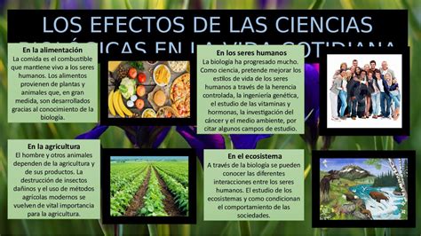 Los Efectos De Las Ciencias Biologicas En La Vida Cotidiana