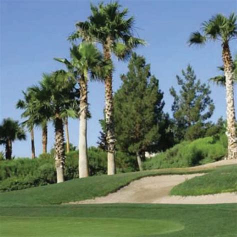 Bermuda grass seed germinates quickly, covers quickly and grows in a variety of soils. Royal TXD Bermuda Grass Seed - Warm Climate Grass Seed