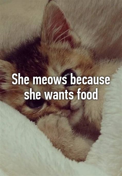 She Meows Because She Wants Food