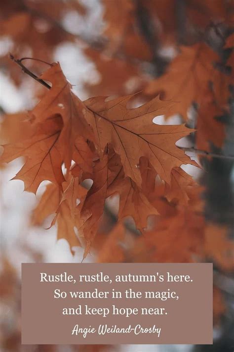60 Best Fall Quotes And Autumn Quotes To Enchant The Soul 2021