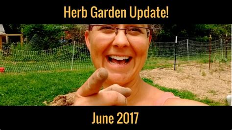 Herb Garden Update Successes And Failures Youtube