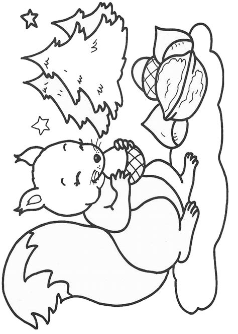 For boys and girls, kids and adults, teenagers and toddlers, preschoolers and older kids at school. Squirrel Coloring Pages