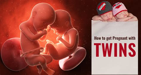 How To Get Pregnant With Twins