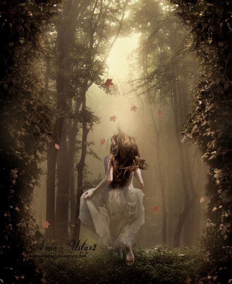 Forest Dream By Ustar2 On Deviantart