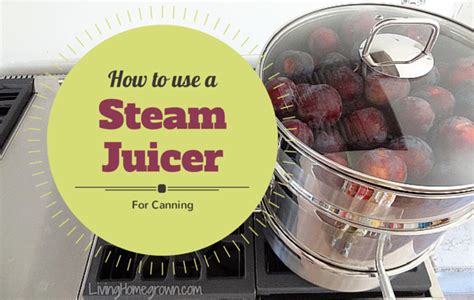 How To Use A Steam Juicer Steam Juicer Best Juicer Juice Diet