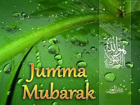 These messages are unique, cute, and loving. 30+ Most Beautiful Jumma Mubarak Pictures To All Muslims