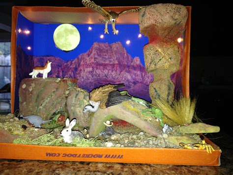 Shoebox Desert Diorama Made For Rd Grade Project Ecosystems Diorama Ecosystems Projects