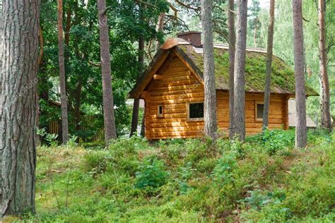 Wooden Log Cabine Shelter Under Thatched Roof In Pine Forest Stock