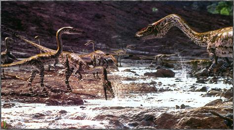 Theropoda Coelophysis Bauri