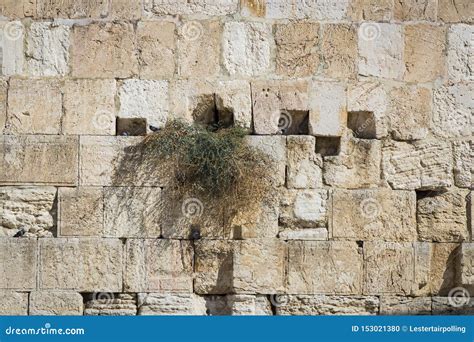Stone Blocks Of The Crying Wall Stock Photo Image Of Spiritual Relic
