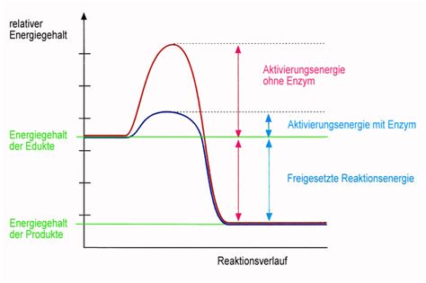 Enzyme is a javascript testing utility for react that makes it easier to test your react components' output. Enzyme - Einleitung