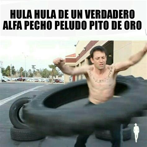 Top Memes De Alfa En Espa Ol Memedroid