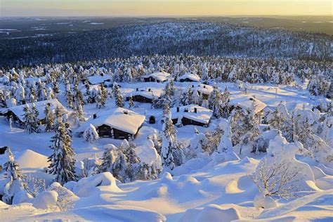 Lapland Best Food: What to Eat in Lapland, Finland