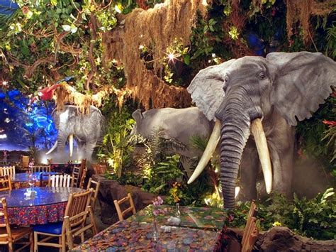 Updated Rainforest Cafe At Westfarms Mall Closes Its Doors West