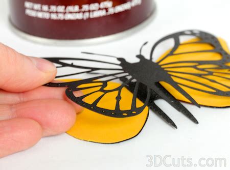 Download Tutorial - Butterfly Shadow Box — 3DCuts.com
