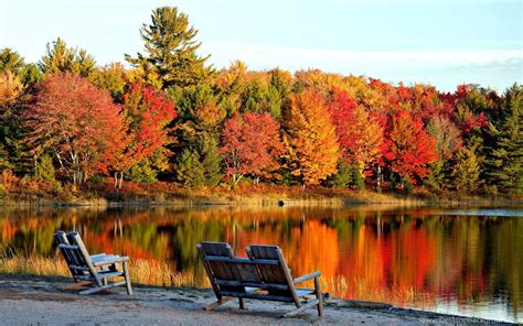 Autumn Landscape Calm Lake Fall Nature Tree Hd Wallpapers Image