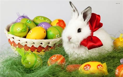 Ostergrüße für die osterkarte, mit mustertexten, vorlagen und beispielen für den persönlichen gruß zum osterfest. Easter Windows 10 Theme - themepack.me