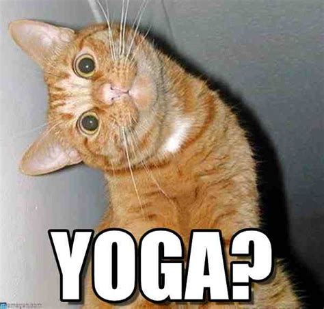 40 Hilariously Funny Yoga Memes