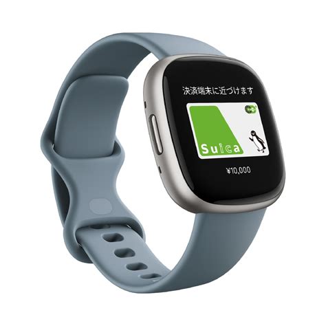 ォッチ Fitbit Fb505srgy Cjk 20211003221933 00646 ショップもぐちゃん555 通販 Versa スマートウォッチ Gray L Sサイズ 日本