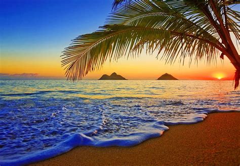 Hawaii Sunrise Exotic Hawaii Ocean Bonito Waves Sky Palms Sea