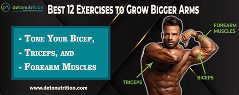 Best 12 Exercises To Grow Bigger Arms Tone Your Bicep Triceps And