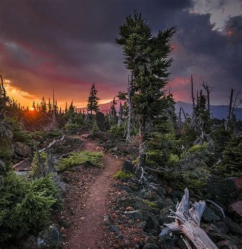 Congrats To The 2015 Pct Photo Contest Winners Pacific Crest Trail