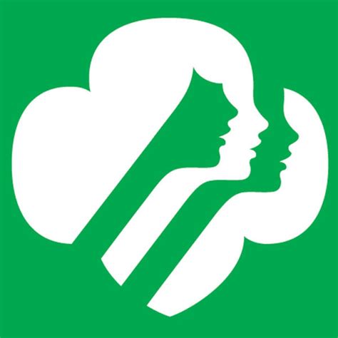 Girl Scouts Return 100000 To Anti Transgender Donor E Online