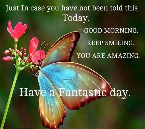 1m Delightful Good Morning Images With Butterflies 2023 Good Morning