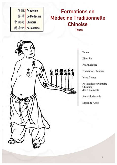 Formations En Médecine Traditionnelle Chinoise