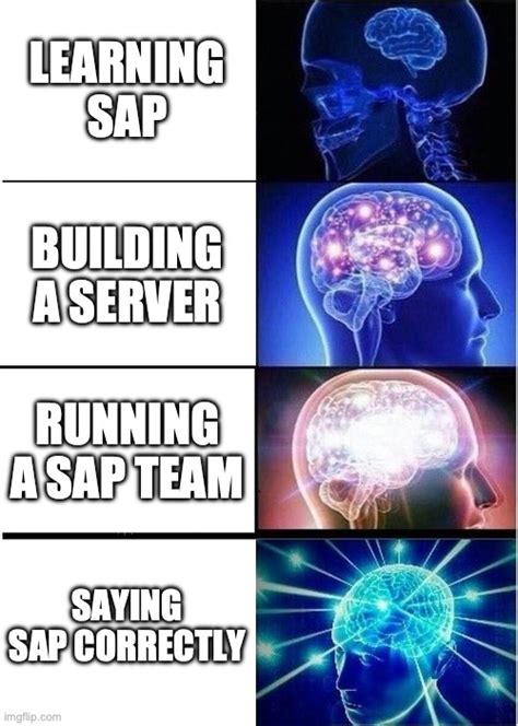 How Do You Say Sap Imgflip