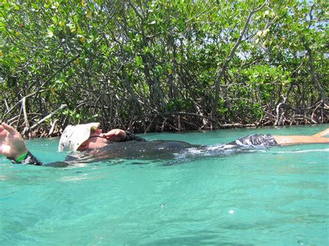 Gilligans Island Guanica Holiday Rentals Houses And More Vrbo