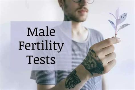 Male Fertility Test Fertility Tests For Men At Home And Clcinic