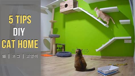 Diy Cat House 5 Tips How To Catify Your Home For Cats Youtube