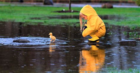 Little Girl Playing With Duckling Hd Cute 4k Wallpapers Images